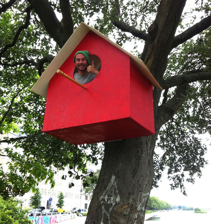 Menggemaskan, Kopenhagen Dipenuhi Ribuan Rumah Burung